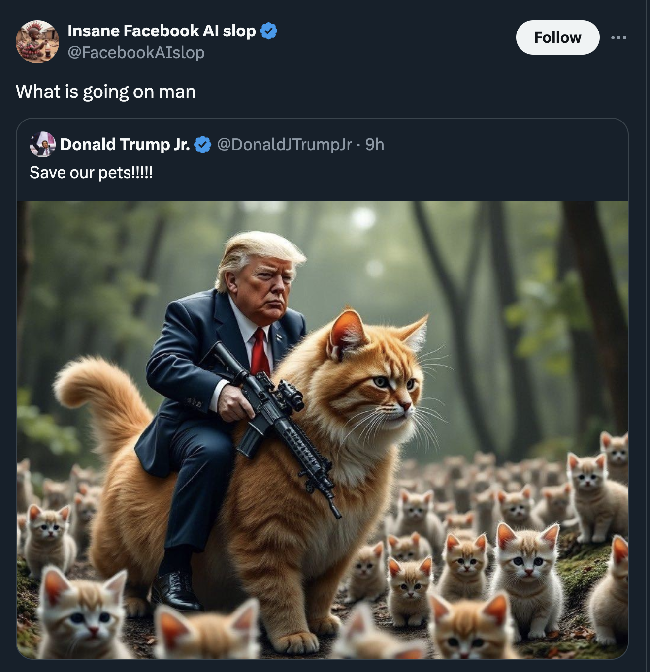 tabby cat - Insane Facebook Al slop What is going on man Donald Trump Jr. JTrumpJr. 9h Save our pets!!!!!!